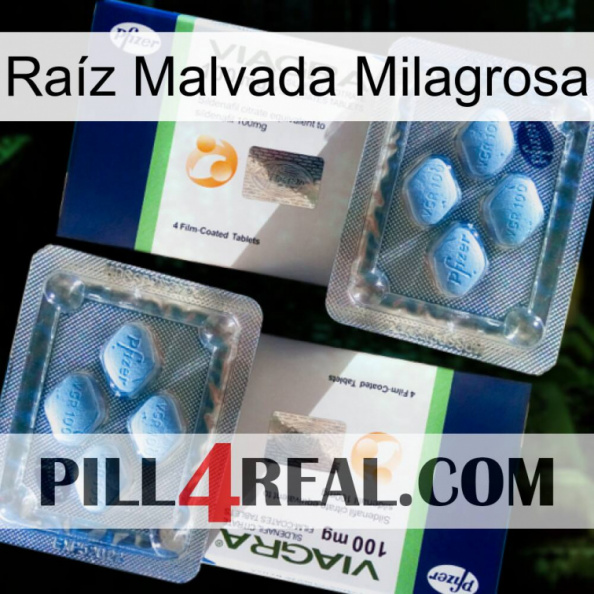 Raíz Malvada Milagrosa viagra5.jpg